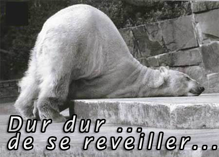 Image h&eacute;berg&eacute;e par Casimages.com : votre h&eacute;bergeur d images simple et gratuit