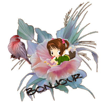 Image hébergée par Casimages.com : votre hébergeur d images simple et gratuit