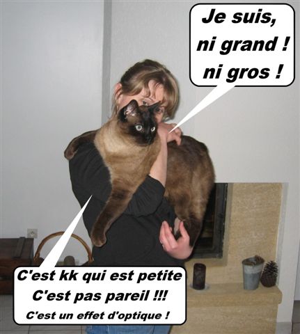 Image hébergée par Casimages.com : votre hébergeur d images simple et gratuit