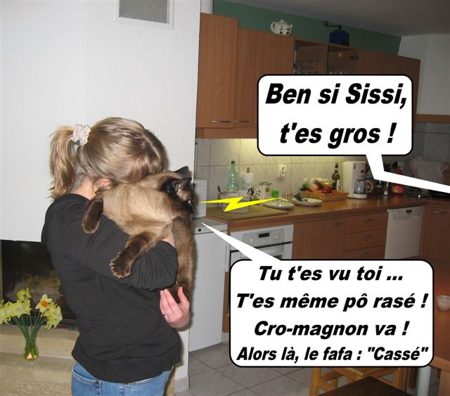 Image hébergée par Casimages.com : votre hébergeur d images simple et gratuit