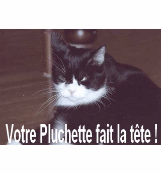 Image hébergée par Casimages.com : votre hébergeur d images simple et gratuit