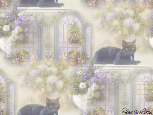 Image hébergée par Casimages.com : votre hébergeur d images simple et gratuit