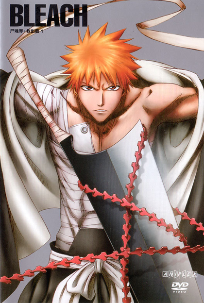 Bleach by Tite Kubo