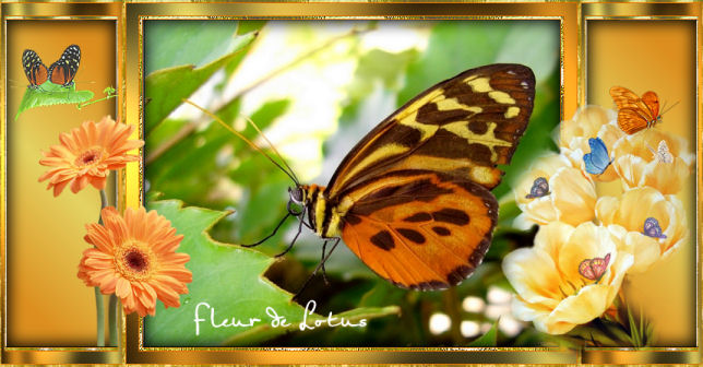 Image hébergée par Casimages.com : votre hébergeur d images simple et gratuit