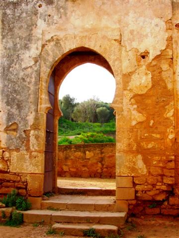 Image hébergée par Casimages.com : votre hébergeur d images simple et gratuit