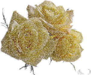 Image hébergée par
Casimages.com : votre hébergeur d images simple et gratuit