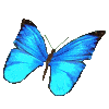 Image hébergée par Casimages.com : votre hébergeur d images simple et gratuit