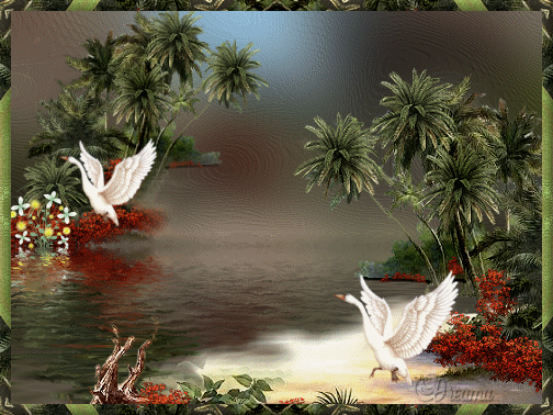 Image hébergée par Casimages.com : votre hébergeur d images simple et gratuit