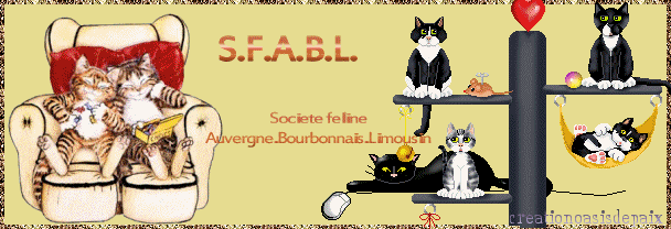 Image hébergée par Casimages.com : votre hébergeur d images simple et gratuit