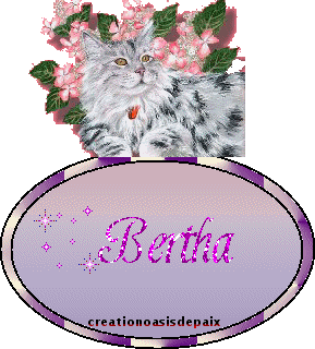 Image h�berg�e par Casimages.com : votre h�bergeur d images simple et gratuit