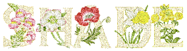 Image h�berg�e par Casimages.com : votre h�bergeur d images simple et gratuit