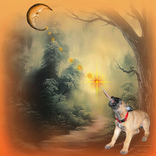 Image hébergée par Casimages.com : votre hébergeur d images simple et gratuit