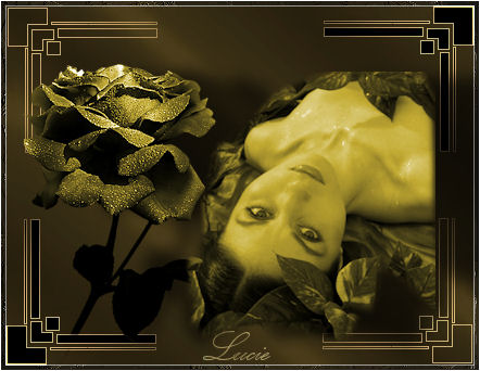Image hébergée par Casimages.com : votre hébergeur d images simple et gratuit