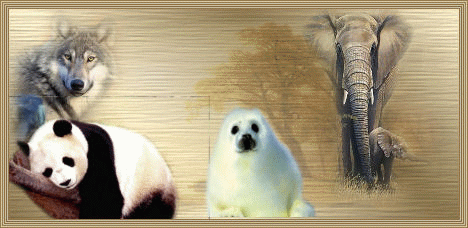 Image h�berg�e par Casimages.com : votre h�bergeur d images simple et gratuit