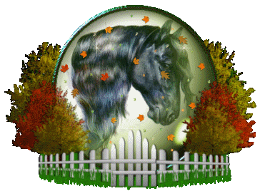 Image hébergée par Casimages.com : votre hébergeur d images simple et gratuit