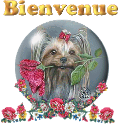 Image hébergée par Casimages.com : votre hébergeur d images simple et gratuit
