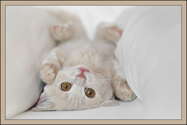 Image hébergée par Casimages.com : votre hébergeur d images simple et gratuit