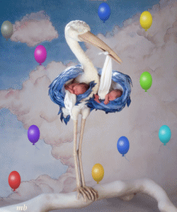 Image hébergée par Casimages.com : votre hébergeur d images simple et gratuit