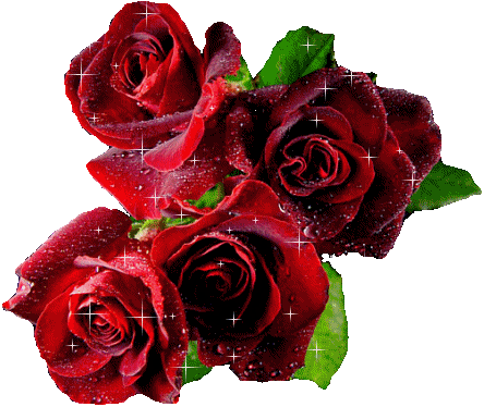 Image hébergée par Casimages.com : votre hébergeur d images simple et gratuit