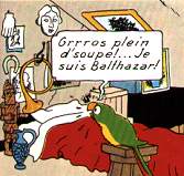 Les perroquets jouent un grand rôle dans Tintin...