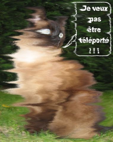Image hébergée par Casimages.com : votre hébergeur d images simple et gratuit