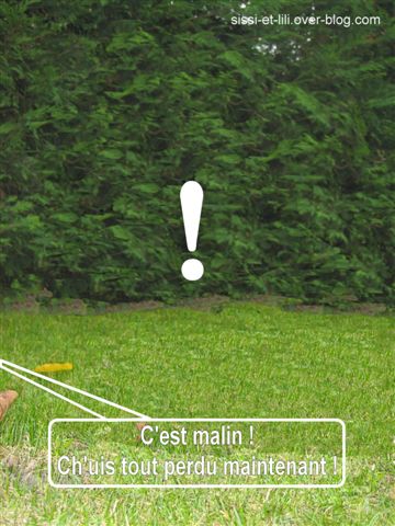 Image hébergée par Casimages.com : votre hébergeur d images simple et gratuit