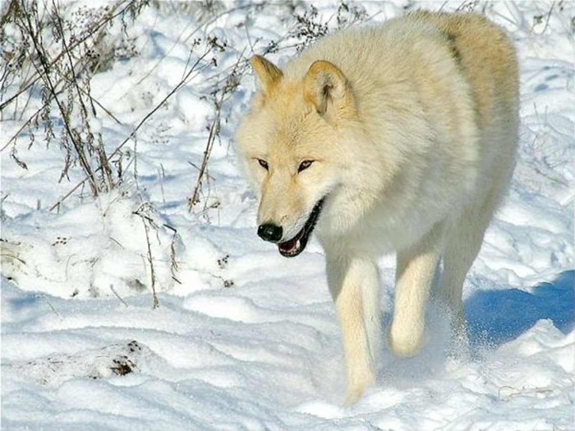 Image hébergée par Casimages.com : votre hébergeur d images simple et gratuit