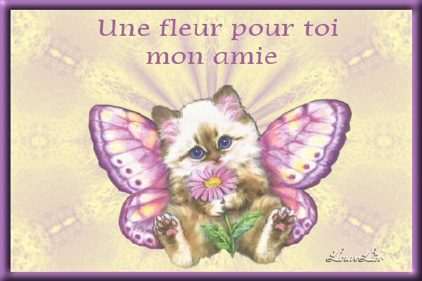 Image h�berg�e par Casimages.com : votre h�bergeur d images simple et gratuit