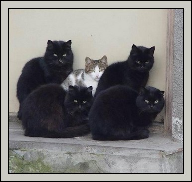 Image hébergée par Casimages.com : votre hébergeur d images simple et gratuit