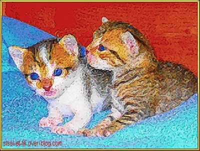 Image hébergée par Casimages.com : votre hébergeur d images simple et gratuit
