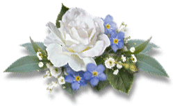 Image hébergée par Casimages.com : votre hébergeur d images simple et gratuit