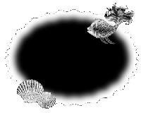 Hebergement gratuit d image et photo