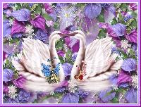 Hebergement gratuit d image et photo