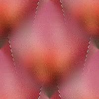 Hebergement gratuit d image et photo