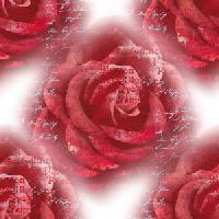 Hebergement gratuit d image et photo