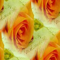 Hebergement gratuit d image et photo