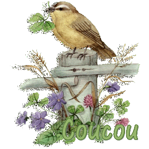Image hébergée par Casimages.com : votre hébergeur d images simple et gratuit