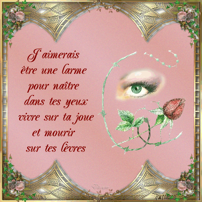 Image hébergée par Casimages.com : votre hébergeur d images simple et gratuit