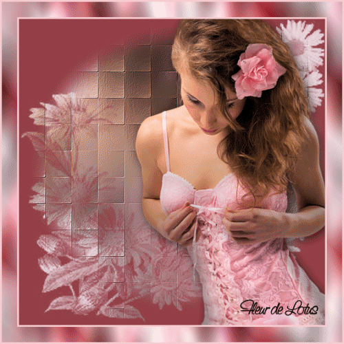 Image hébergée par Casimages.com : votre hébergeur d images simple et gratuit
