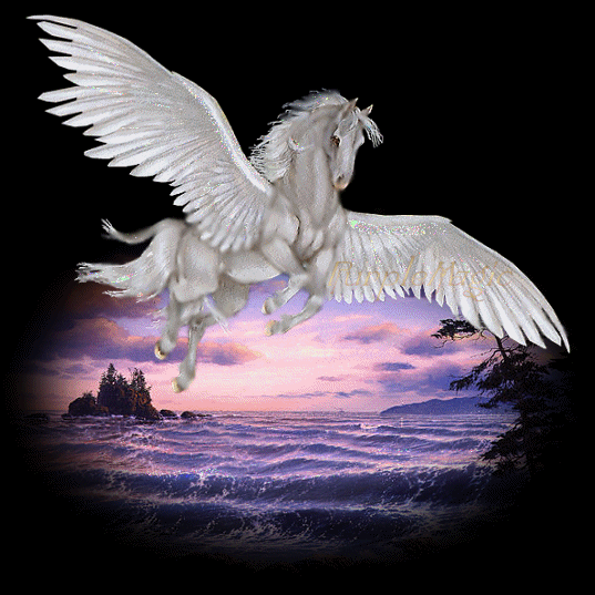 Image hébergée par Casimages.com : votre hébergeur d images simple et gratuit