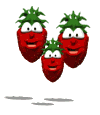 Image h�berg�e par Casimages.com : votre h�bergeur d images simple et gratuit