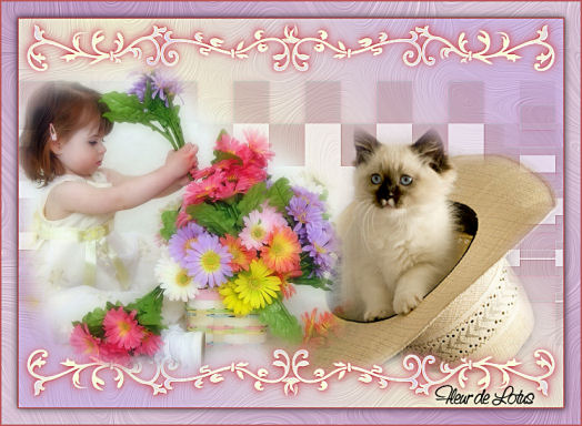 Image hébergée par Casimages.com : votre hébergeur d images simple et gratuit