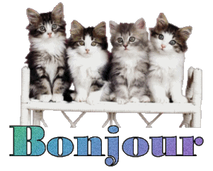 Image hberge par Casimages.com : votre hbergeur d images simple
et gratuit