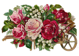 Image hébergée par Casimages.com : votre hébergeur d images simple et gratuit