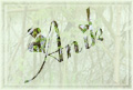 Image hébergée par Casimages.com : votre hébergeur d images simple et gratuit