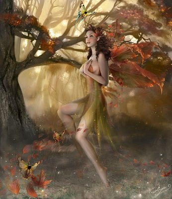 Image hébergée par Casimages.com : votre hébergeur d images simple et gratuit