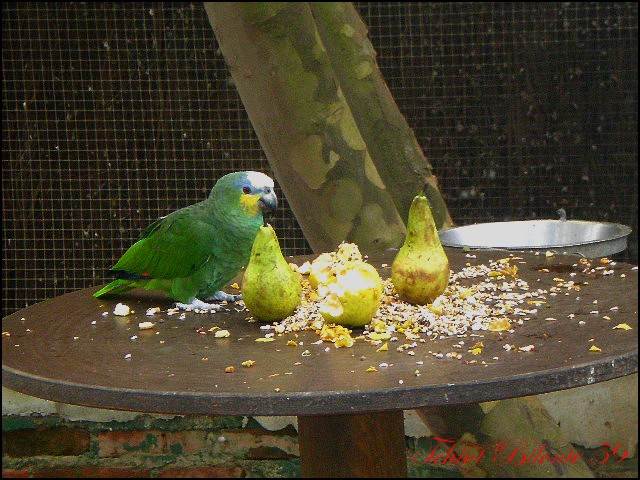 Image hébergée par Casimages.com : votre hébergeur d images simple et gratuit