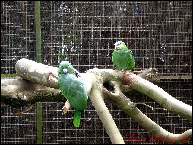 Image hébergée par Casimages.com : votre hébergeur d images simple et gratuit
