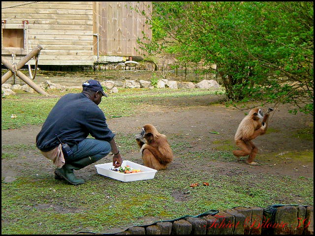 Image hébergée par Casimages.com : votre hébergeur d images simple et gratuit