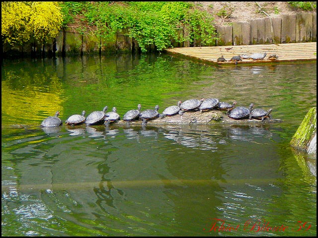 Image hébergée par Casimages.com : votre hébergeur d images simple et gratuit